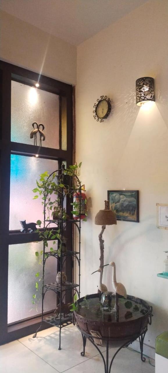 Rangbaari Stays & Cafe Джодхпур Экстерьер фото